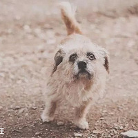 ������ϰ����������¼�ع⣬ԭ�����˹�������ô����...