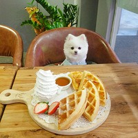 ����˵˵�Ҽ�����ɵ��