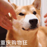 齺ϰˬ߾˯˯˯˯~~DHEVA̩ʽSPA