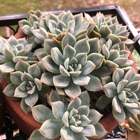 ���⣬���⣬��̫����