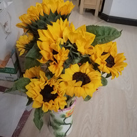 ���ҿ�������Щ�����ھӲ����Ϊ����������