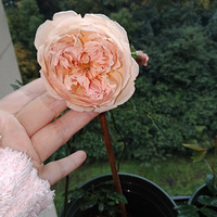 �����ǲ��Զ����ļ��ڣ���̫�����û��䡣��