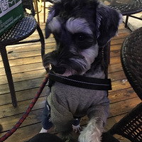 �����Ǽ�ѩ����ܵ��Ҹ�Ů����