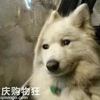 ȫ����͵͵������û�����ӣ�û�뵽���Ӿ�Ȼ����