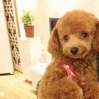 �����ѹ����и������ţ�������ټ������������