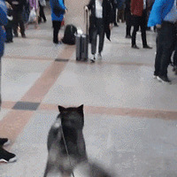 ���Ϲ�ʿ��ȥ���ף���������������������¶�����