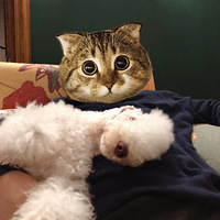 �Լ����ָ�ë��������ĥ��С��ʳ��100��Ǯ���ԳԵ�����