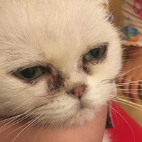 ³������ǡ�������