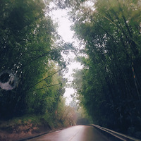 һζٵʳ֮