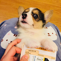 �Ҽ�С���ȱ������һ��������