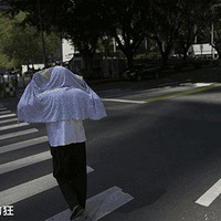 ����ײ������Ƶ�·�ˣ�Ҫ��Ҫ�⳥������٣��𰸶�������