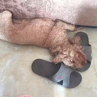 ����������ա�+����һ��������Σ�������ٿ�