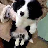 �����������ռǡ�+����������ĥ�Ĺ���