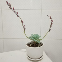 ȥ��������@���⣬����������