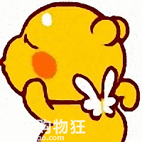 ֵںѩ˫Գ