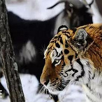 ������2���µĻ������顱 ������֣�ֻ��������40��