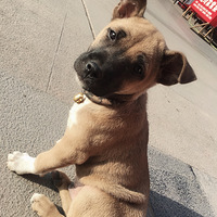 �г�Ѱ����ʾ