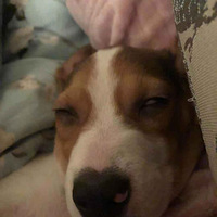 ����Ӵ���о������Ѿ��ﵽ�˸߳�