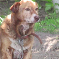 ������12�깷�������16�죬ԭ��������ô��