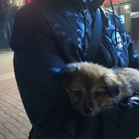 ����������ա����ӳɳ���