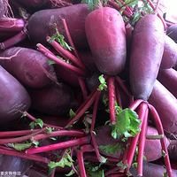 ɿڵ֬ܲһϾͿԳԣˬ