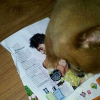 ����������ա��ҵ�ȦȦ��Գ�Ե�