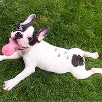 ����������ա���ƨ��������õĶ����ճ��Ǹ�¥