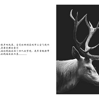MOռơ--ʥ üҾӲfeel