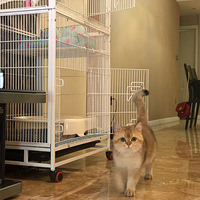 ����������ա�С̫�� | ��èɥ־ϵ��