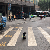 ·����ʵ�桱��Ȯ�˹��Ĺ��¡����Բ��ȣ���Ѱ����