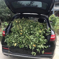 ��ĺ����ﶼװ��ɶ����Ҷ�������һ����