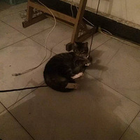 ����������ա�����ô���ɽ����ˣ���