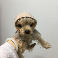 2��Լ������������