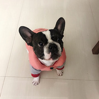 �ҼҰ����𣬰��԰ײˣ���ˣ���������С��ʹ