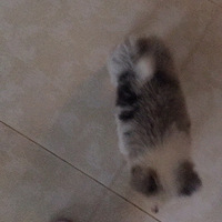 �����ɳ���