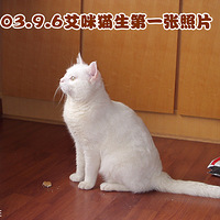 ����Ҽҽ�18��Ĵ����--è�䰬�䣡