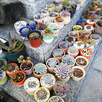 ���ϵĶ��⣬����ĺã�