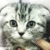 ����ֱ����СŮ��~�Ҿ�ȻҲιè��