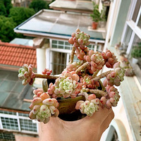 �������⣬��������