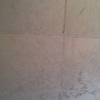 ��Ҫ��������ĸ����