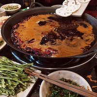 ζwanghong꣬ȫƷ6.8ۣ˵