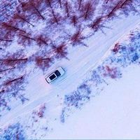 ������ι������뿴���