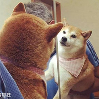 �������վ���ʱ��Ŀɰ���Ӧ