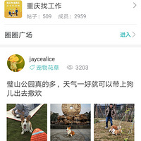 �ɽ�������ճ�