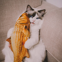 ��ʵè�����ǡ������ѡ�
