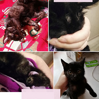 �ټ��ˣ��ҵ���С����