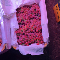 ϵˮгӣݮ