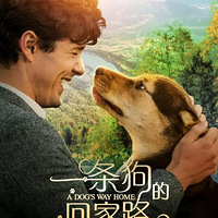 �Ƽ��µ�Ӱһ�����Ļؼ�·���ÿ�