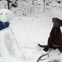 ��������ѩ�˵Ļ���ʱ��