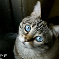 �����Լ�û�ľ��ˣ���ϲ����ЩС����